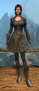 Appearance on light armor.