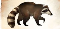 Mini Rockfur Racoon concept art.jpg