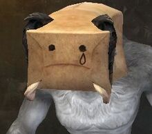 Paper Bag Helm (Sad) charr.jpg