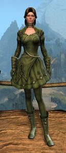 Appearance on light armor.