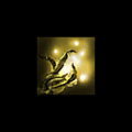 Thumbnail for version as of 04:39, 24 September 2021