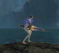 Draw effect animation