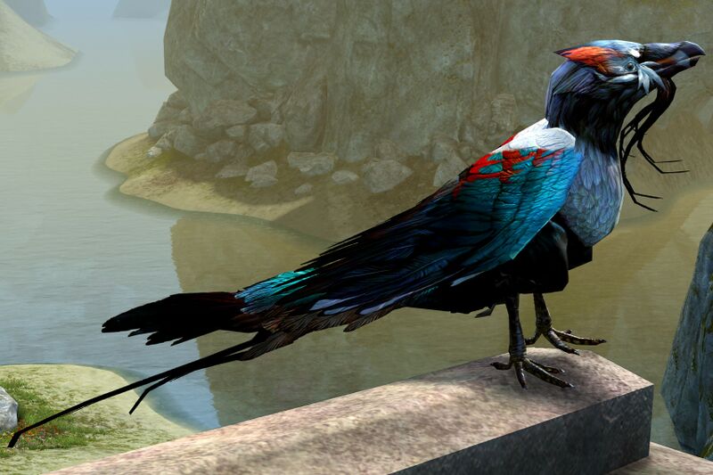 File:Tropical Bird (Cantha).jpg