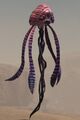 Wind Rider.jpg