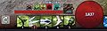 2011 March pet commands.jpg