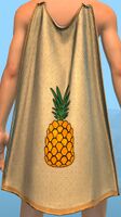Basic Guild Cape.jpg