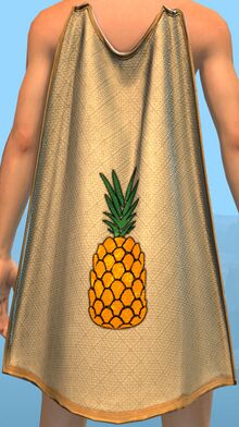 Basic Guild Cape.jpg