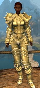 Appearance on heavy armor.