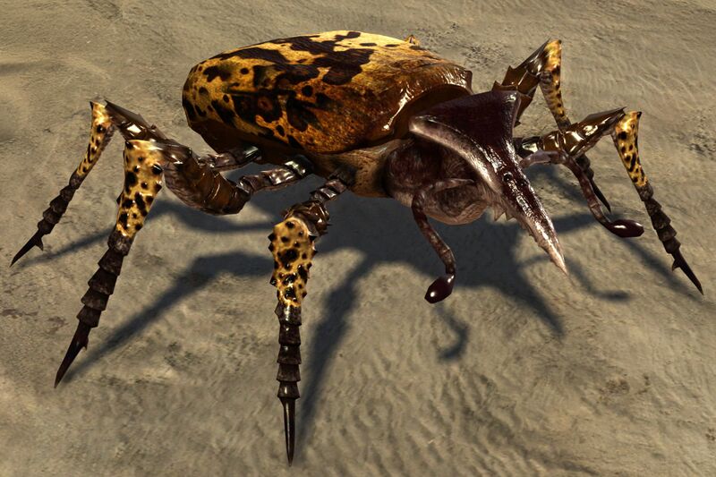 File:Giant Spotted Beetle.jpg