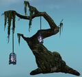 Hanging Tree.jpg