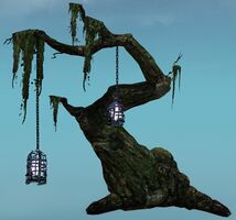 Hanging Tree.jpg