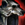 Head of Koda.png