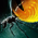 Honeypot Ant.png