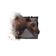 Juvenile Murellow.png