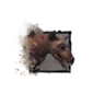 Juvenile Murellow.png