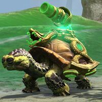 Juvenile Siege Turtle.jpg