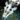 Lightborne Torch.png
