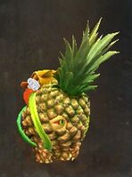 Mini Adventurous Castoran Choya.jpg