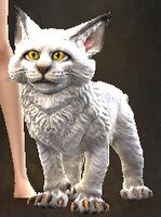 Mini White Journeykit.jpg