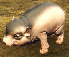 Piglet.jpg