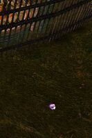 Recording 2 (Scarlet's Playhouse) location.jpg