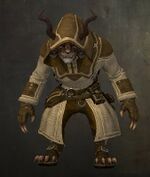 Traveler's Outfit