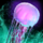 Underwater Jellyfish.png
