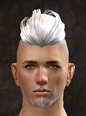 Unique human male hair front 12.jpg