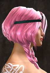 Unique norn female hair side 13.jpg