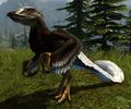 Eagle Raptor