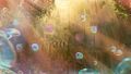 Echovald Forest, "Strange familiarity."[14]