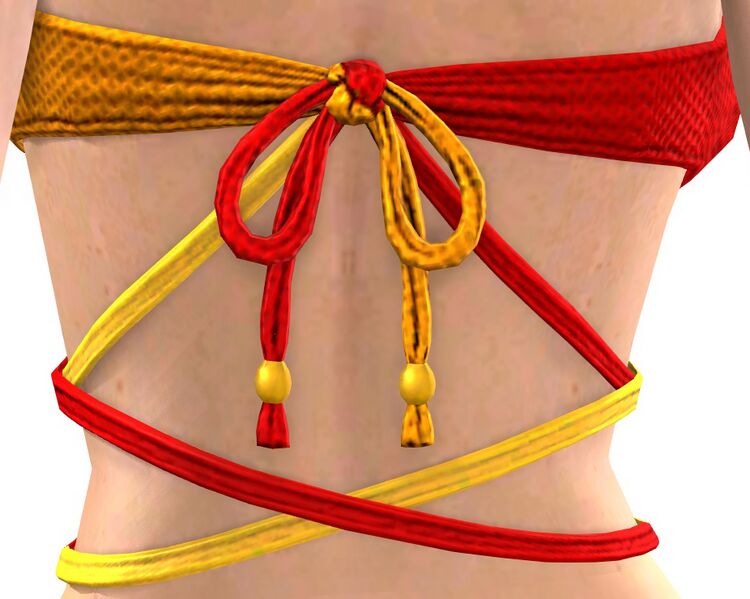 File:Fresh Swim Top female back.jpg