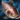 Giant Barb