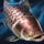 Giant Barb.png