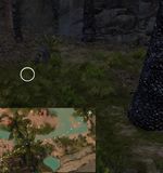 Hidden Carrot Hunt 9 map.jpg