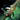Kurzick Greatsword.png