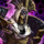 Mini Mordant Crescent.png