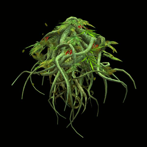 File:Take Root.jpg