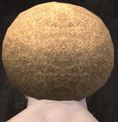 Unique norn male hair back 5.jpg
