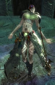 Veteran Risen Acolyte.jpg