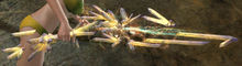 Zenith Wake.jpg