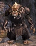 Ash Legion male 3.jpg