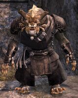 Ash Legion male 3.jpg