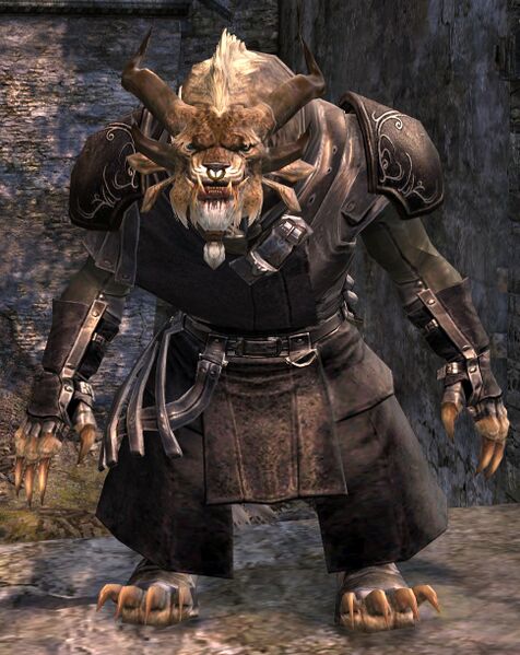 File:Ash Legion male 3.jpg