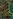 Blighted Battleground map.jpg