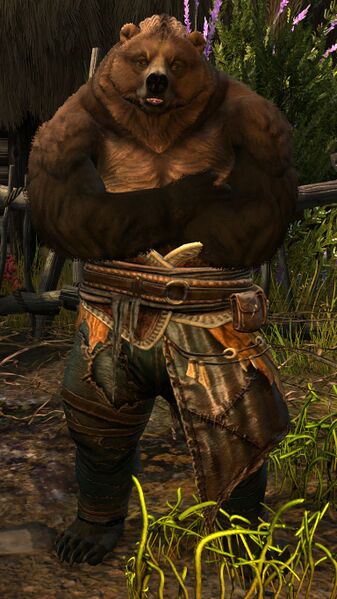 File:Brown Lowland Kodan (crossed arms).jpg