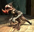 Cave Screamer.jpg