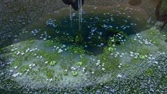Crystal-Clear Water.jpg