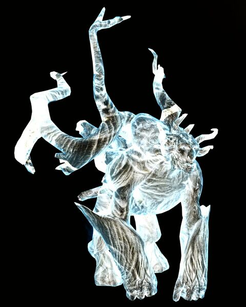 File:Druid Spirit.jpg