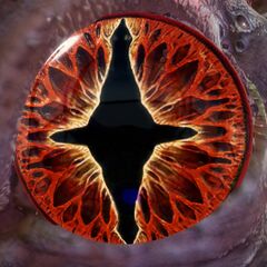 Eye of Nourys.jpg